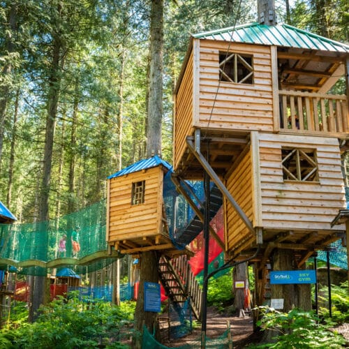 SkyTrek Adventure Park - Sky Gym Revelstoke BC